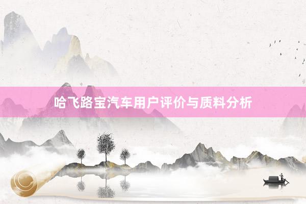 哈飞路宝汽车用户评价与质料分析
