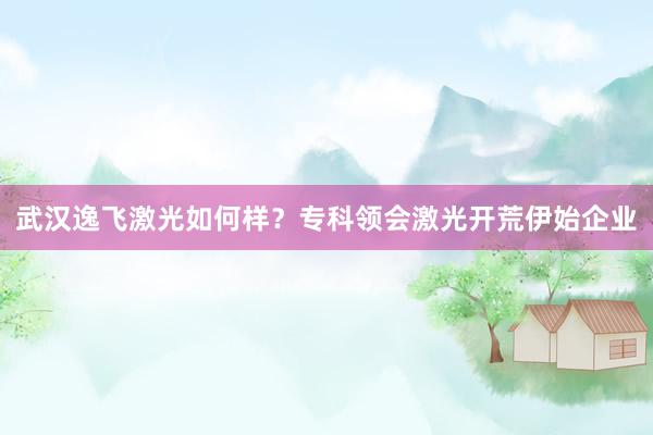 武汉逸飞激光如何样？专科领会激光开荒伊始企业