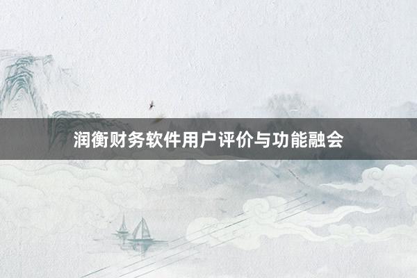 润衡财务软件用户评价与功能融会